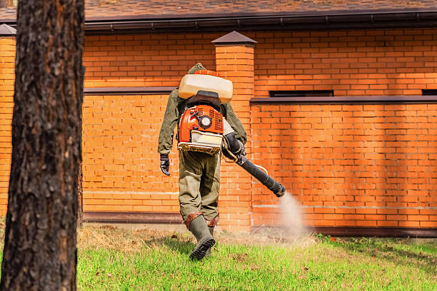 Trusted Mosquito Control service in Glenmoor, OH - Nex Pest Control